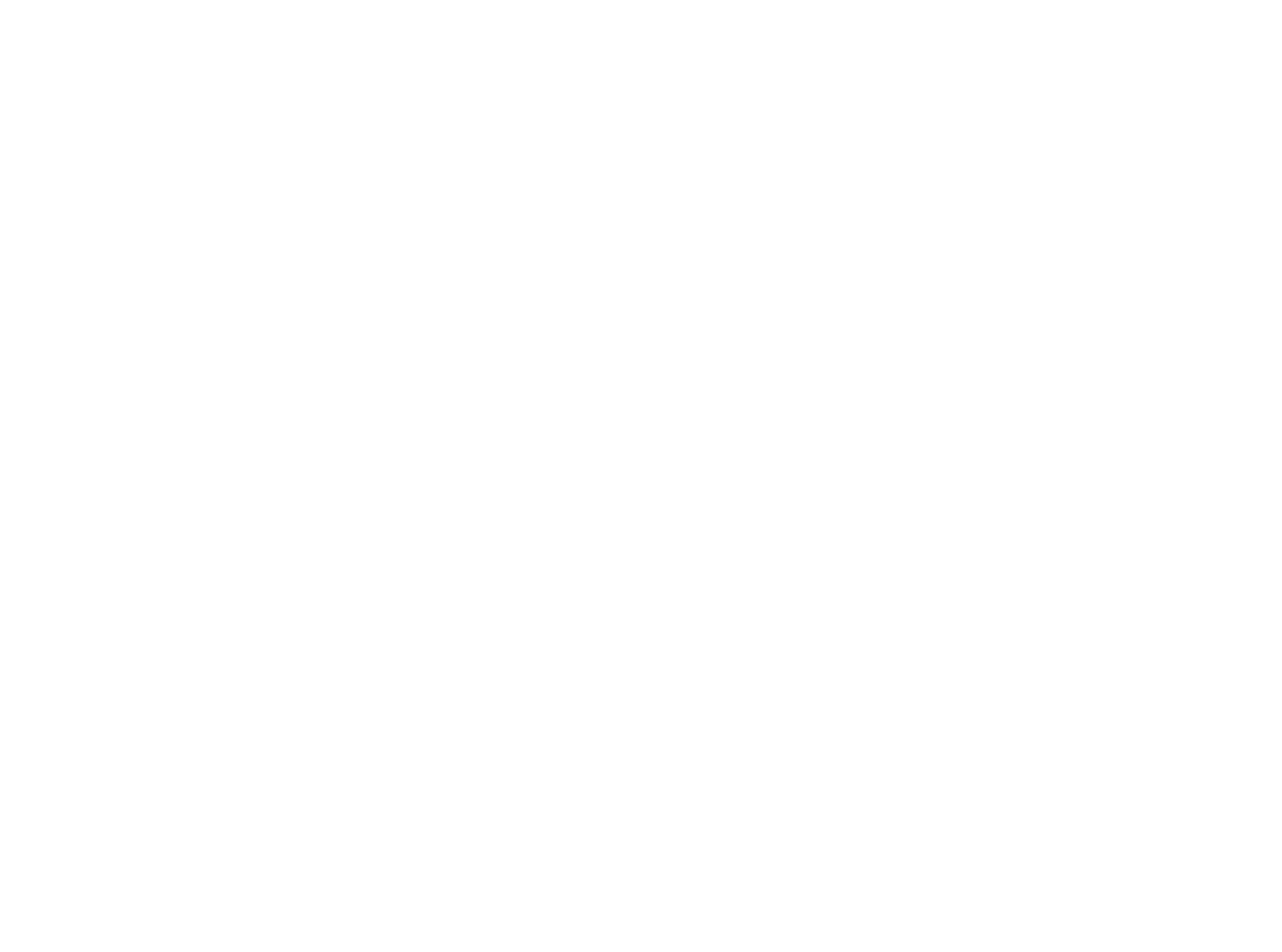 Network Theatre